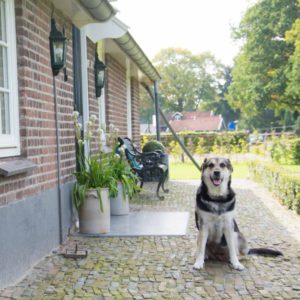 Stoeterij Sloot